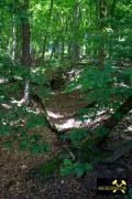 Grube Apollo bei Raubach nahe Puderbach im Westerwald, Rheinland-Pfalz, (D) (5) 07. Juni 2015.JPG